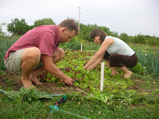 Lawn and Garden Services,Garden Weeding,Landscape Finder