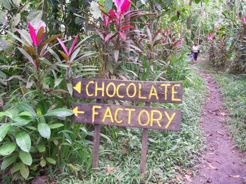 Garden with Chocolate Factory sign